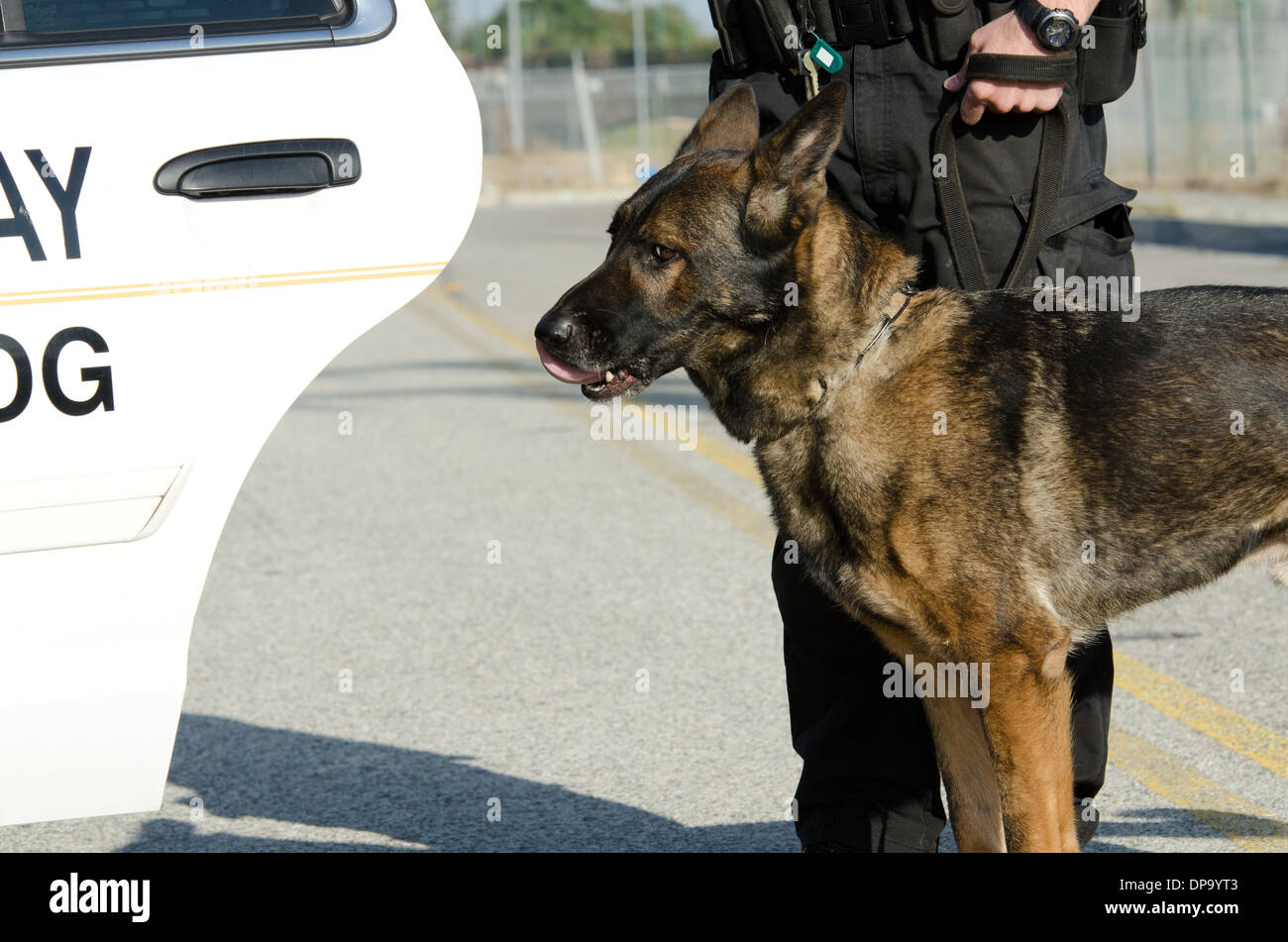 Une K9 et son partenaire se préparer pour leur quart de travail. Banque D'Images