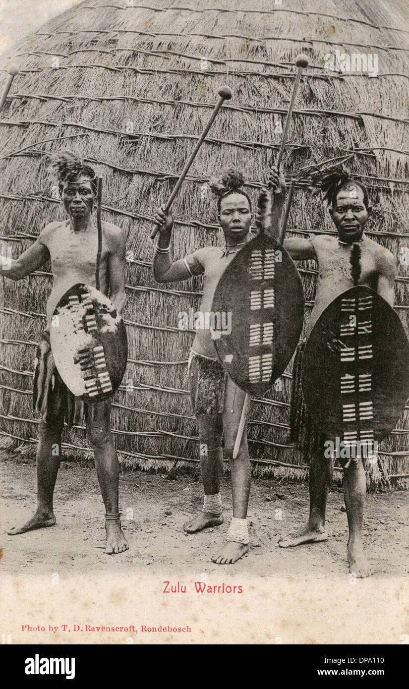 Les guerriers zoulous - Afrique Australe Banque D'Images