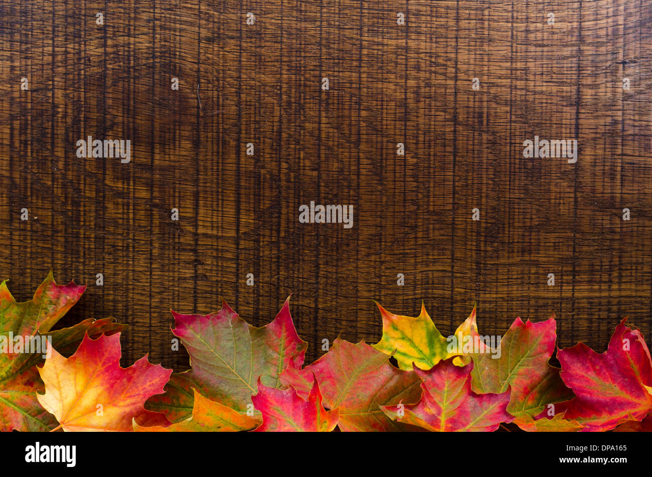 Un fond de bois en chêne décoré de feuilles d'automne le long du bord inférieur, avec place pour le texte. Banque D'Images