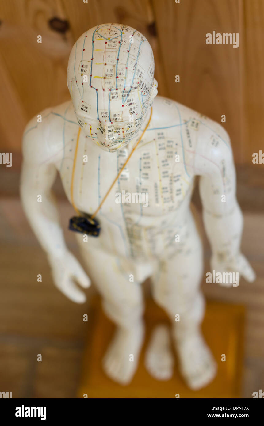 Statue d'Acupuncture et méridiens montrant les points d'Acupuncture Banque D'Images
