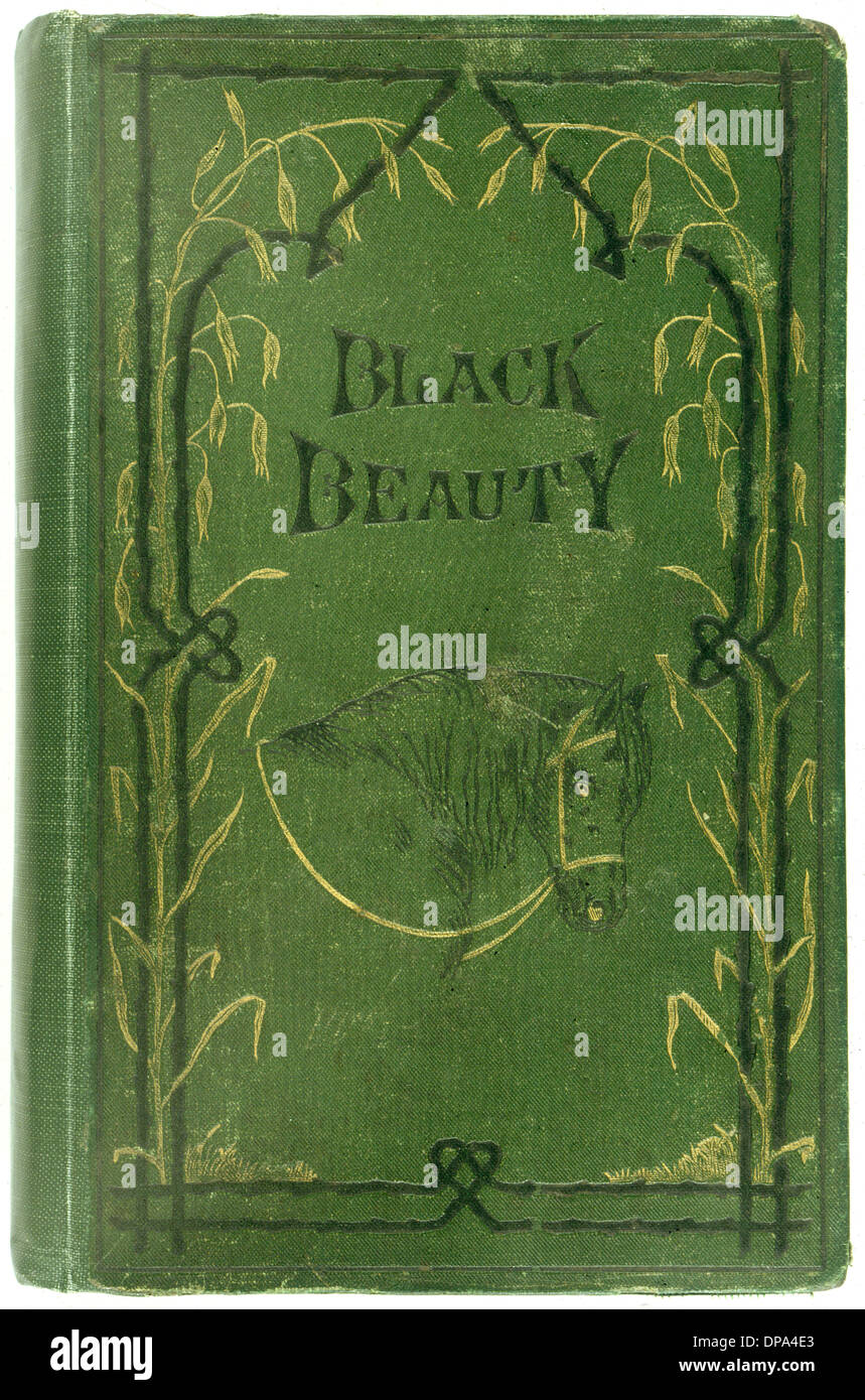 La beauté noire/PREMIER DE. Banque D'Images