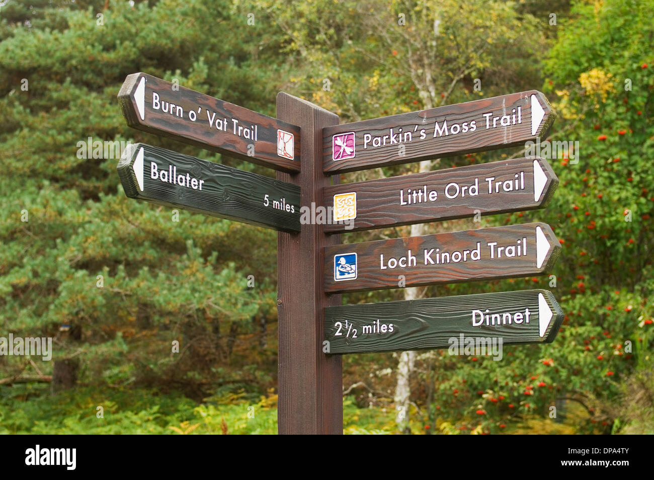 Signes à graver o' TVA visitor centre, près de Dinnet, Deeside, Aberdeenshire, en Écosse. Banque D'Images