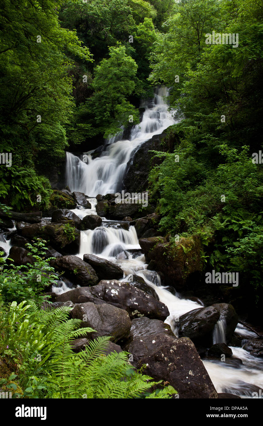 Cascades de Torc dans une forêt en Irlande, Europe, paysages inspirants, eaux en chute, foss Banque D'Images