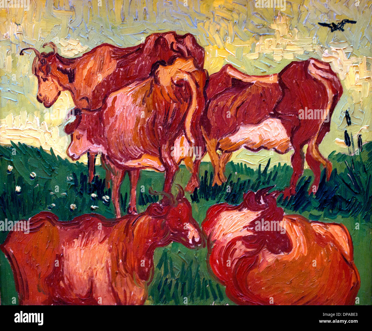 Les vaches par Vincent van Gogh 1853-1890 Pays-Bas Néerlandais Banque D'Images
