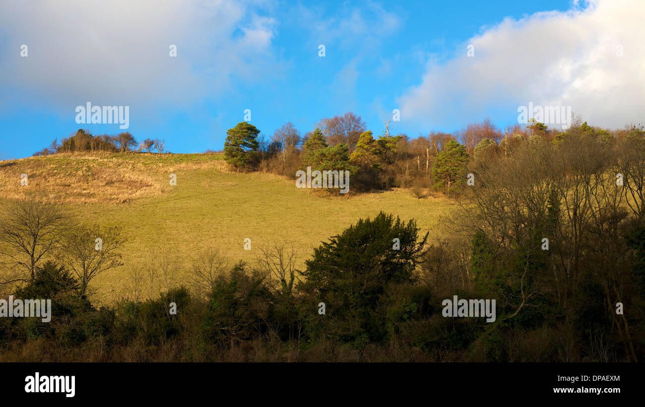 Menaces sur les North Downs à Colley Hill, Reigate, Surrey avec le faible soleil d'hiver vers le bas sur le streaming d'escarpe de craie. Banque D'Images