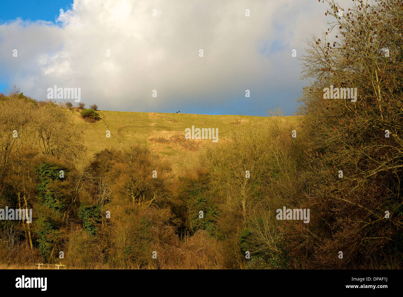 Menaces sur les North Downs à Colley Hill, Reigate, Surrey avec le faible soleil d'hiver vers le bas sur le streaming d'escarpe de craie. Banque D'Images