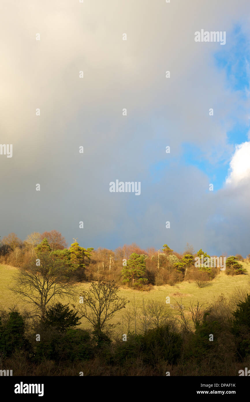 Menaces sur les North Downs à Colley Hill, Reigate, Surrey avec le faible soleil d'hiver vers le bas sur le streaming d'escarpe de craie. Banque D'Images