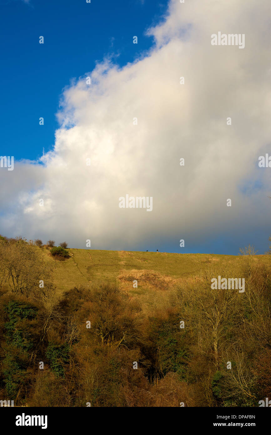 Menaces sur les North Downs à Colley Hill, Reigate, Surrey avec le faible soleil d'hiver vers le bas sur le streaming d'escarpe de craie. Banque D'Images