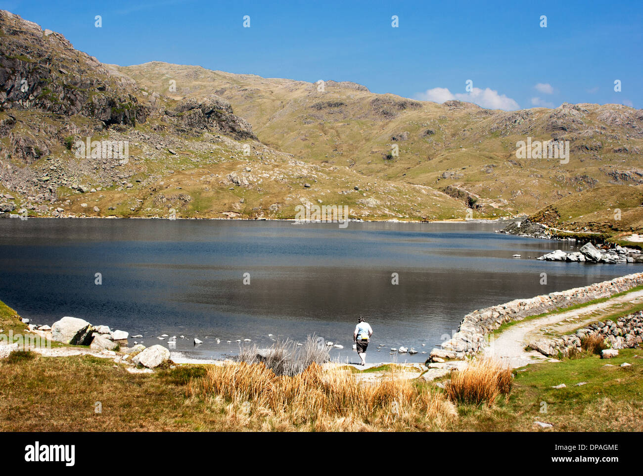 Stickle tarn près de Harrison Stickle, Lake District, Cumbria Banque D'Images