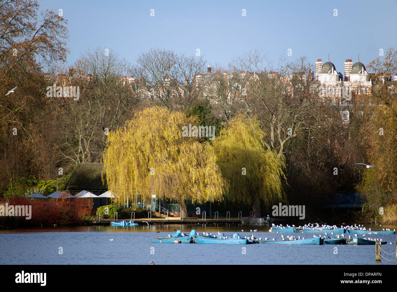 Voile Lac Regents Park Londres Angleterre Royaume-uni Banque D'Images