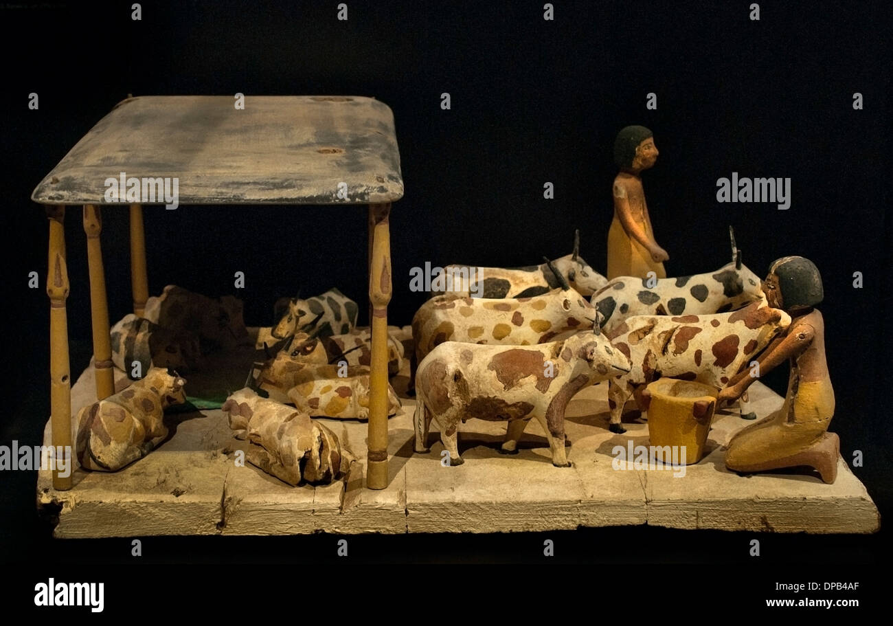 Les bovins avec gardians 1950 BC ( Modèle comme biens funéraires du Moyen Empire égyptien l'Égypte ) Banque D'Images
