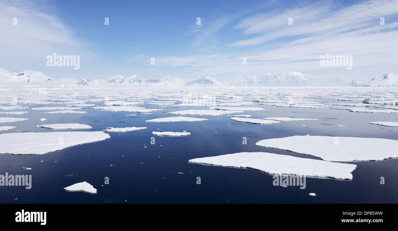 Paysage de l'Antarctique - croisière parmi les icebergs Banque D'Images