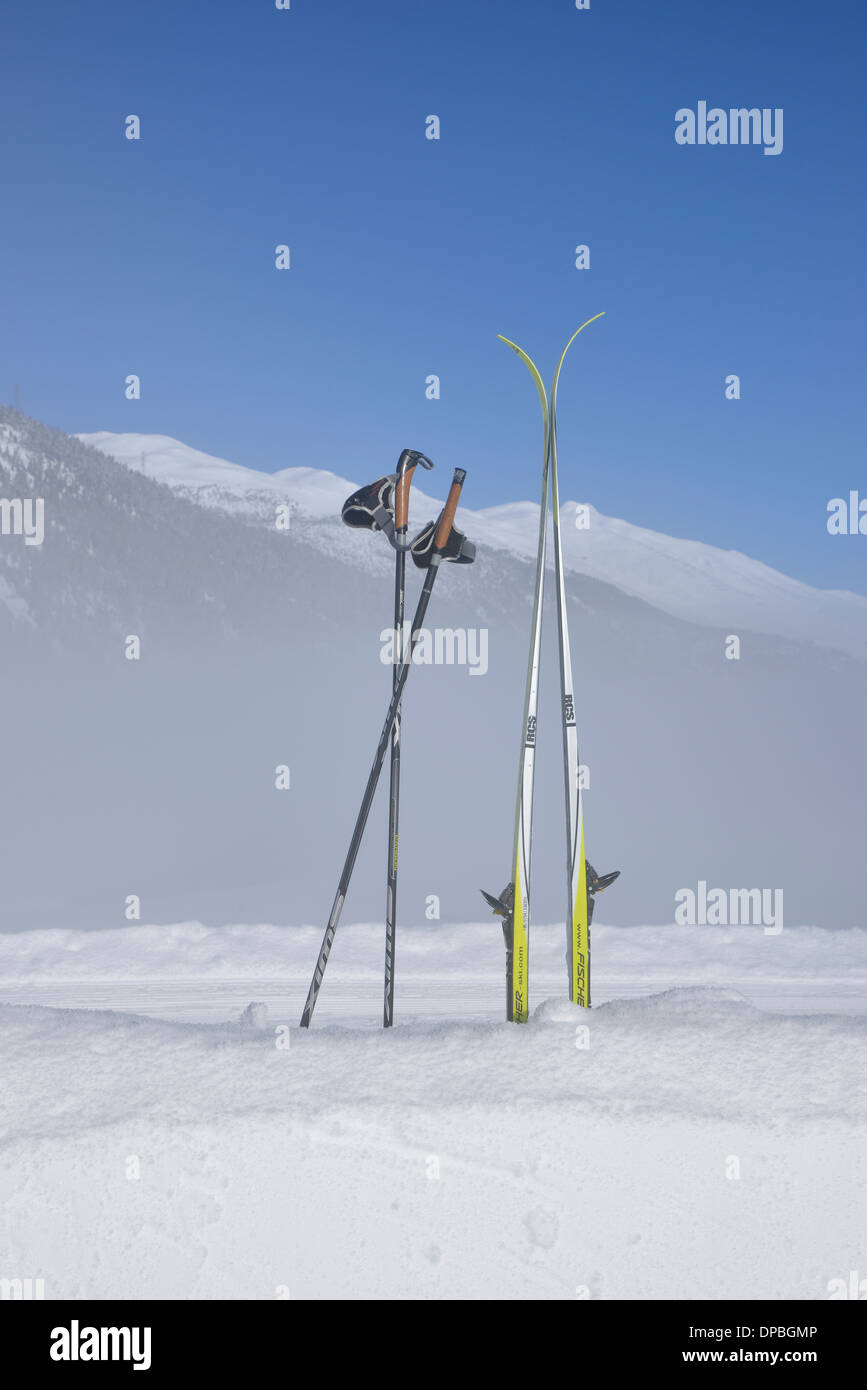 Skis de fond, Bever, Haute-engadine, Canton des Grisons, Suisse Banque D'Images