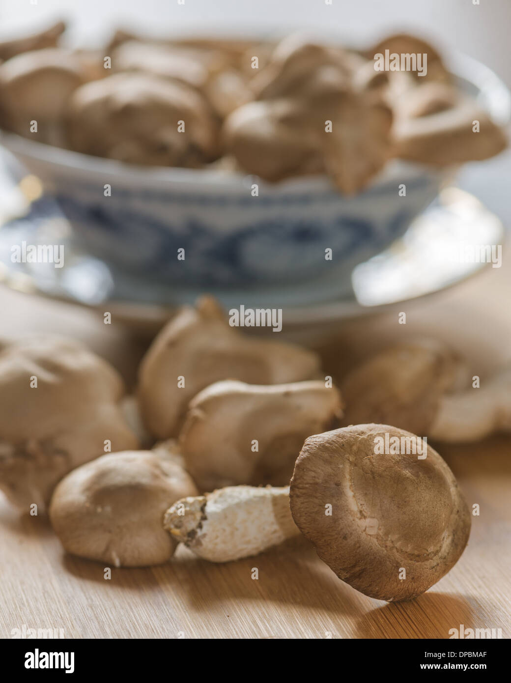 Shiitake mushrooms Banque de photographies et d’images à haute