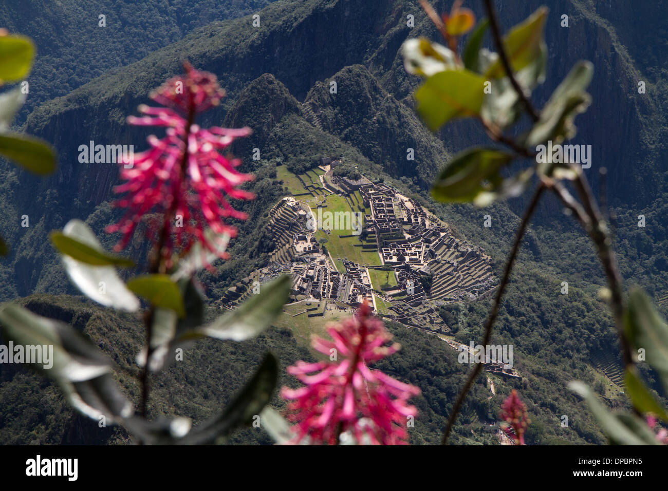 Vue aérienne de Machu Picchu, vu de la montagne du Machu Picchu, Pérou Banque D'Images