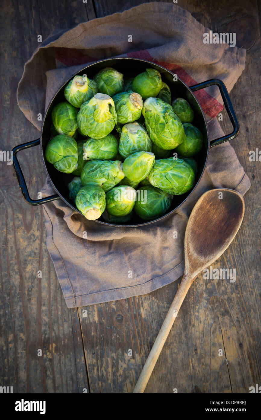 Le chou de Bruxelles (Brassica oleracea var. gemmifera) dans la marmite de fer Banque D'Images
