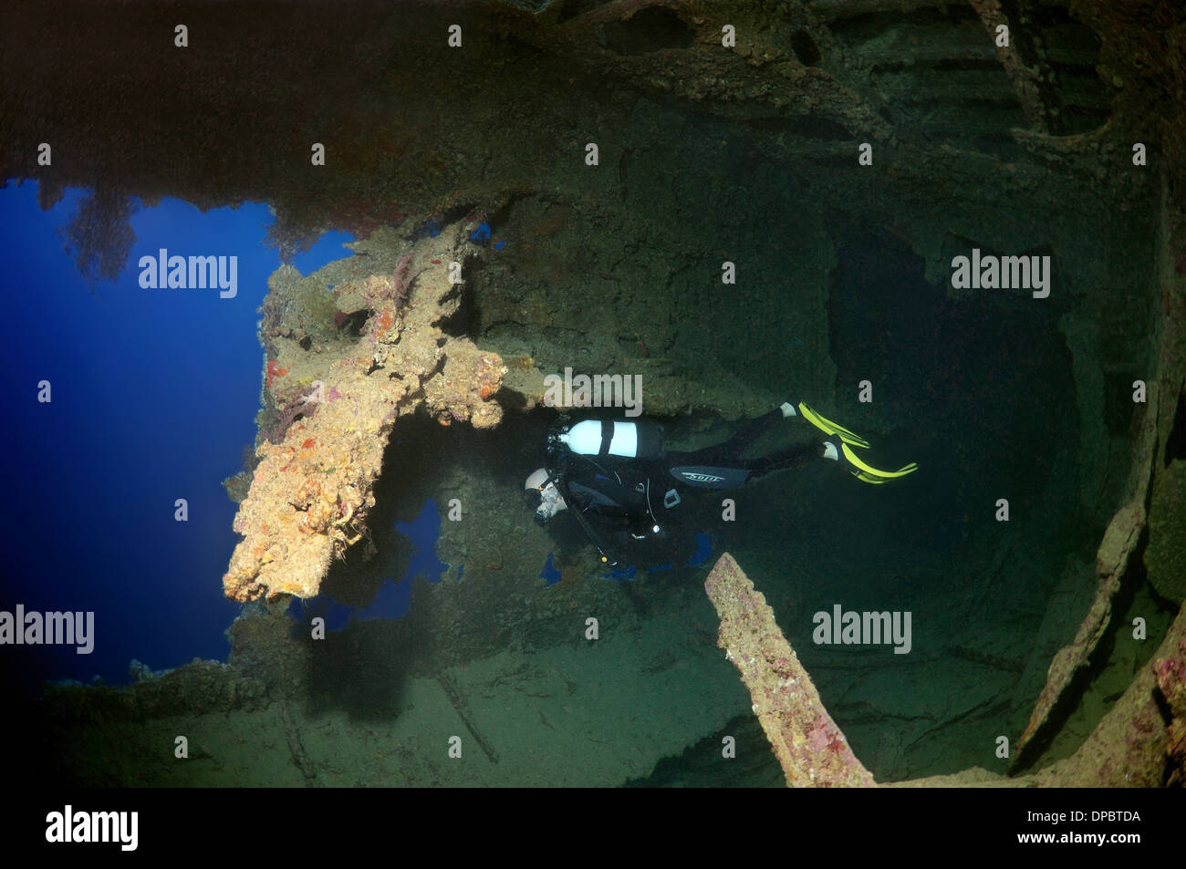 Plongeur à la recherche de shipwreck 'SS' Dunraven. Red Sea, Egypt, Africa Banque D'Images