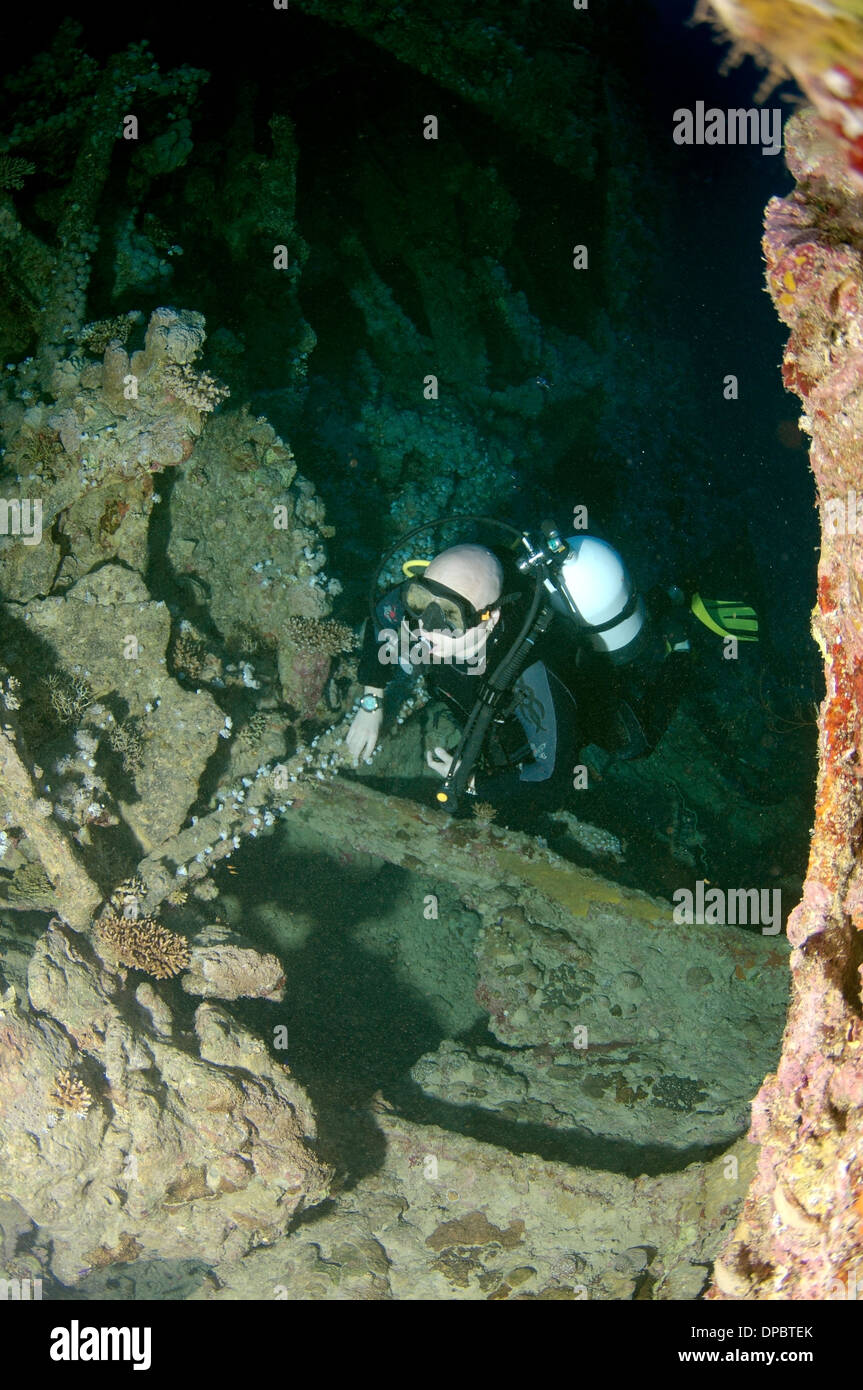 Plongeur à la recherche de shipwreck 'SS' Dunraven. Red Sea, Egypt, Africa Banque D'Images