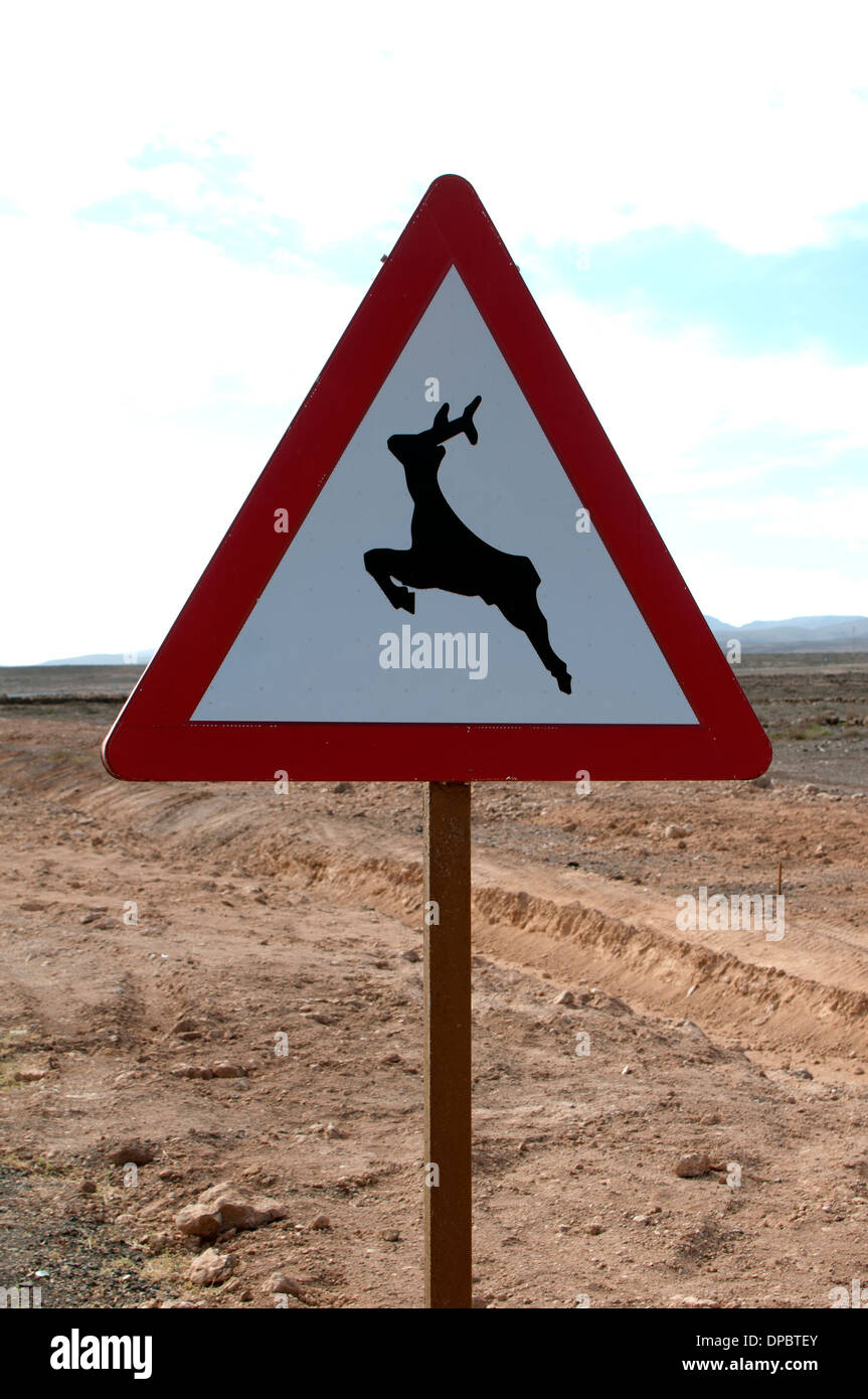 Road sign warning d'animaux. Fuerteventura, îles Canaries, Espagne. Banque D'Images