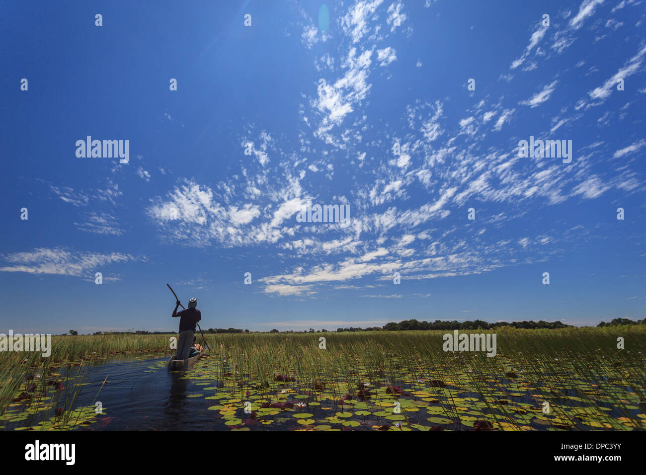 Homme indigène poteaux makoro dugout canoë pour les touristes voyage dans le delta de l'Okavango Banque D'Images
