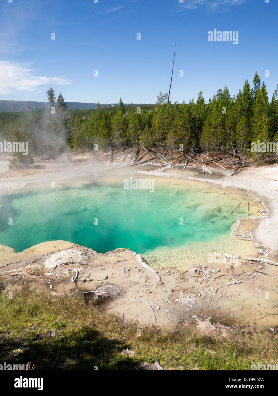 Printemps Emeraude à Norris Geyser Basin, Parc National de Yellowstone, Wyoming, USA Banque D'Images