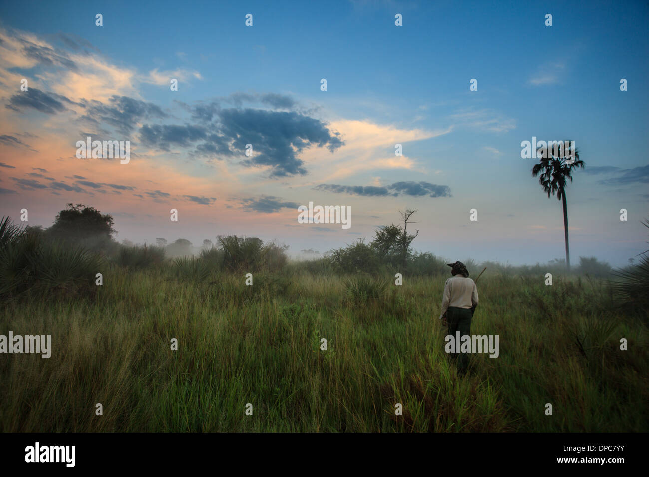 Guide indigène dans les zones humides à pied bénéficie d'que sky change de couleur rapidement avec le lever du soleil à Okavanga Delta, Botswana, Africa Banque D'Images