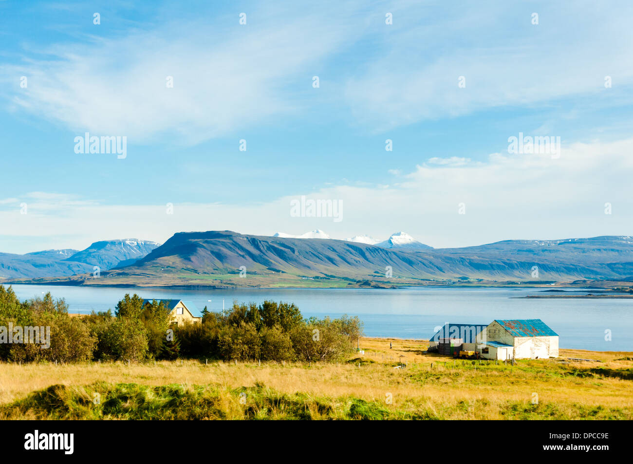 Paysage islandais avec des roches volcaniques et l'herbe verte Banque D'Images