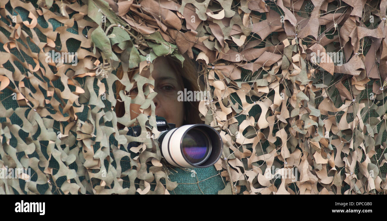 Un chercheur et un appareil photo sont vu cachée derrière un oiseau camouflé masquer utilisé par les ornithologues amateurs. Banque D'Images