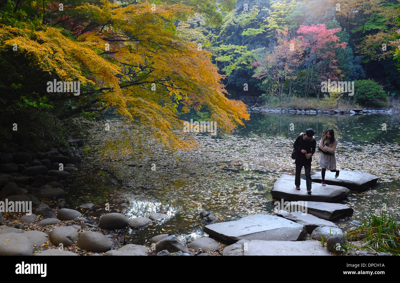 L'Université de Tokyo's Sanshiro jardin ike. Banque D'Images