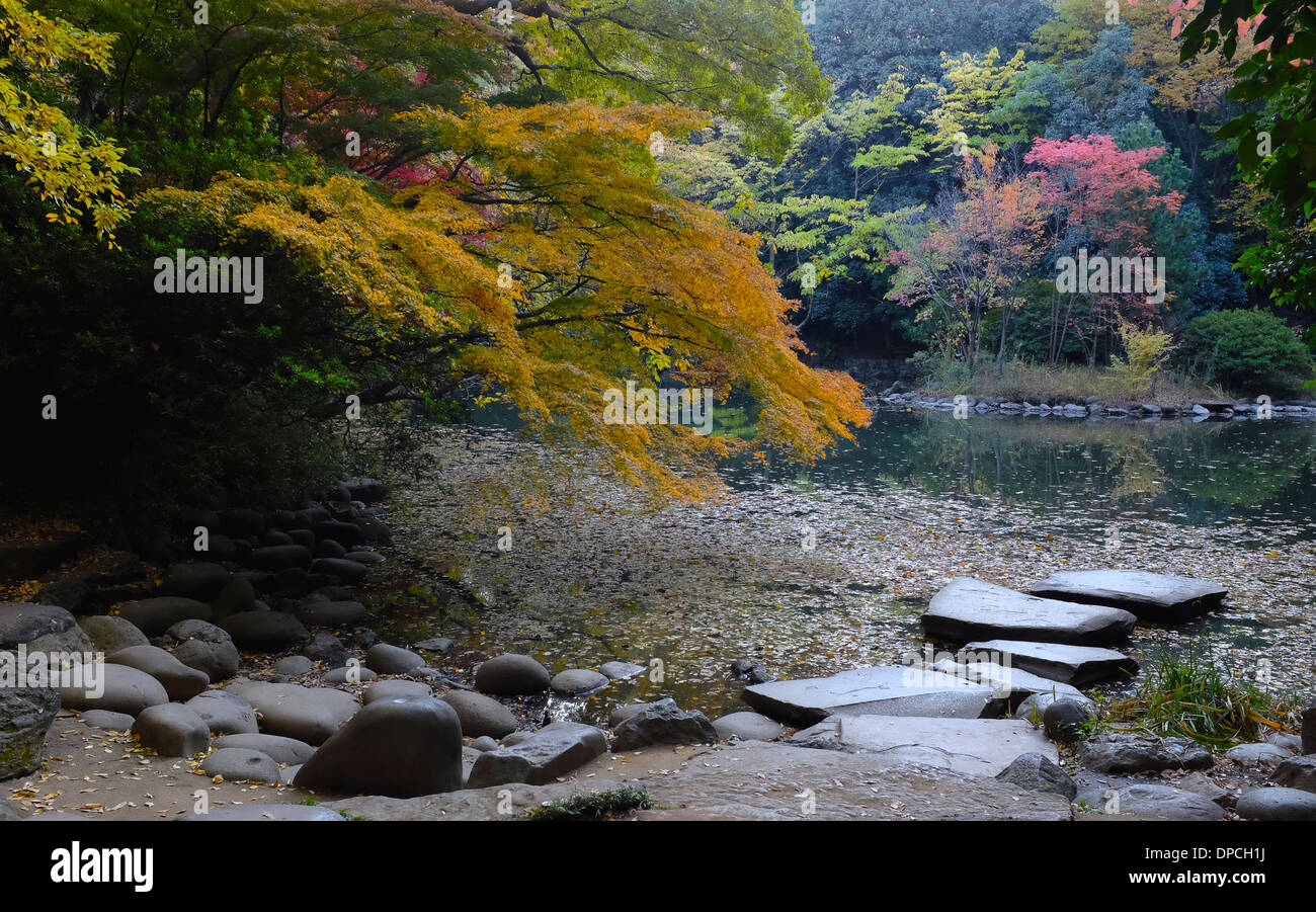 L'Université de Tokyo's Sanshiro jardin ike. Banque D'Images