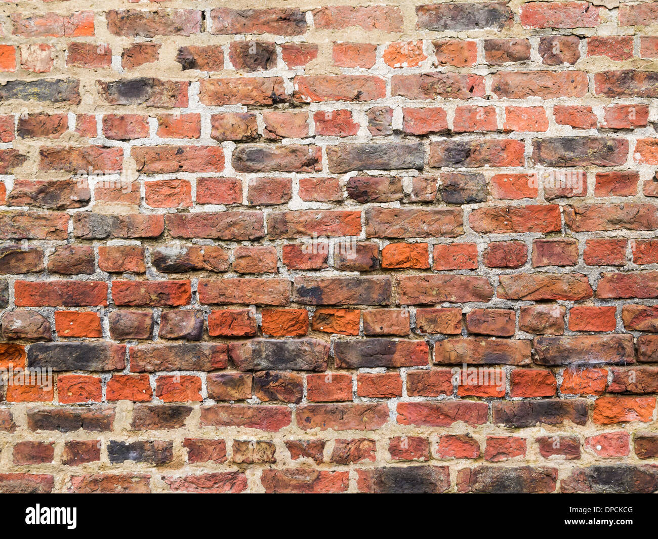 Un mur de briques posées en anglais Lien avec rangs alternés de civières et les en-têtes Banque D'Images