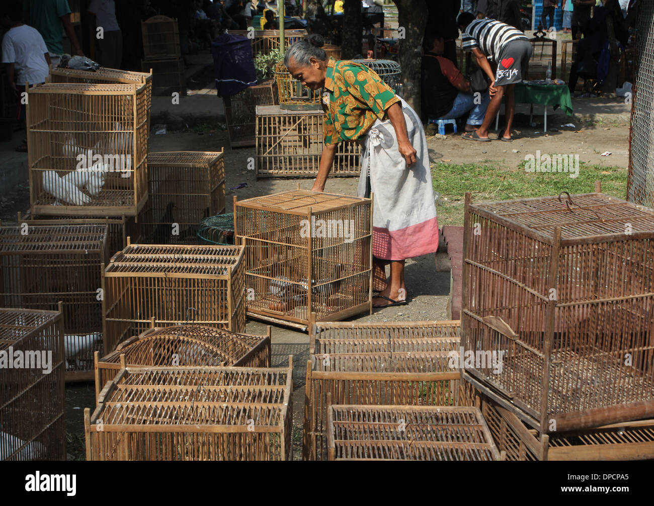 Femme vendre des oiseaux marché indonésien Yoga village Banque D'Images