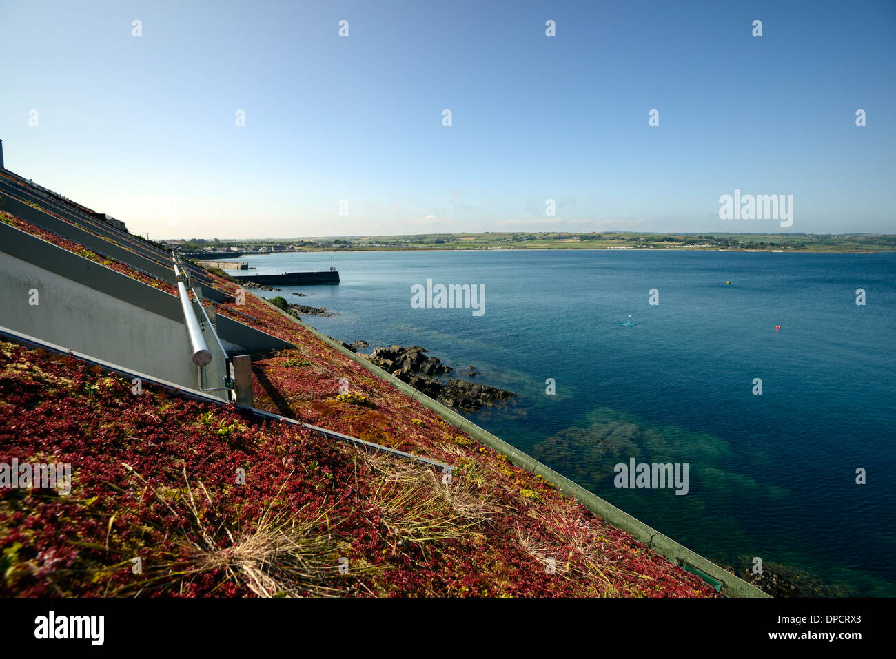 Vivre vert vivre succulentes bâtiment donnant sur le toit panoramique de la mer à la recherche de mélange mélange naturel dans l'environnement Banque D'Images