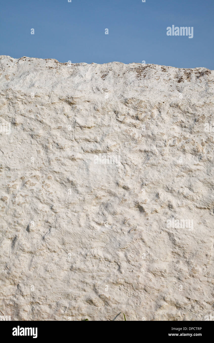 Un jardin et un mur blanc ciel bleu, Cornwall Banque D'Images