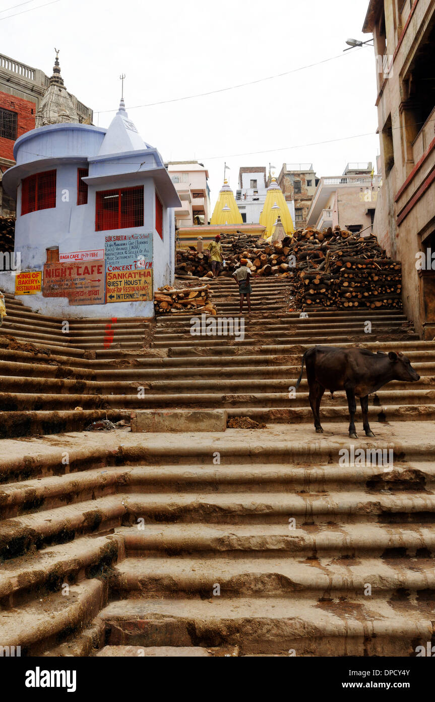 Bois de chauffage stocké sur l'incendie à ghats Varanasi, Inde Banque D'Images Bois de chauffage stocké sur l'incendie à ghats Varanasi, Inde Banque D'Images