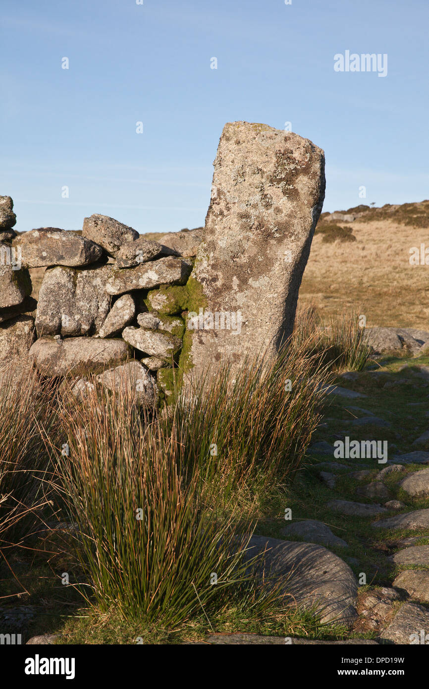 Les pierres de granit formant partie d'un mur de pierres sèches à Dartmoor, dans le Devon, Royaume-Uni. Banque D'Images