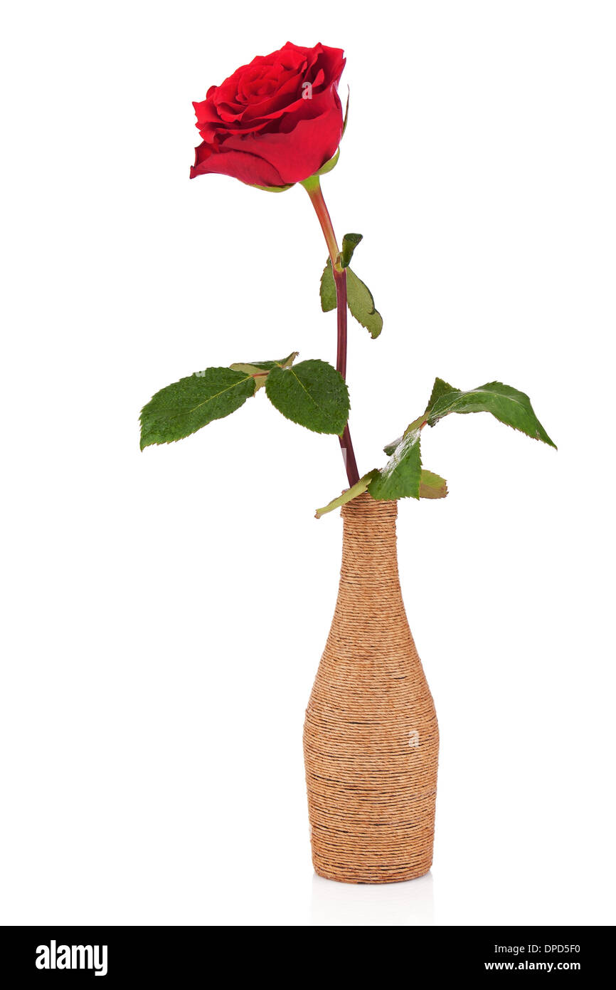 Rose rouge dans vase décoratif isolé sur fond blanc. Libre. Banque D'Images