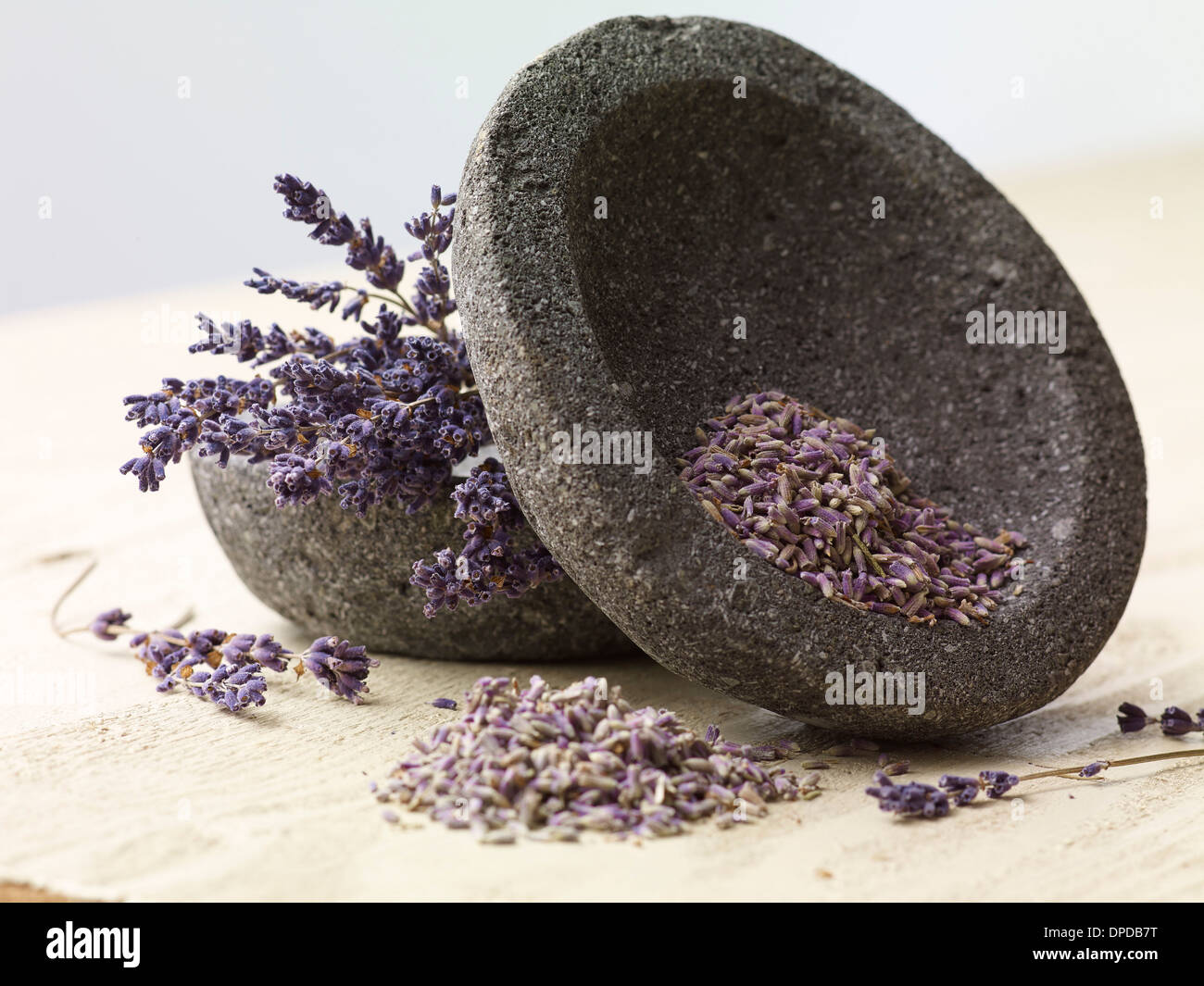 Deux bols en pierre de lavande (Lavendula angustifolia), studio shot Banque D'Images