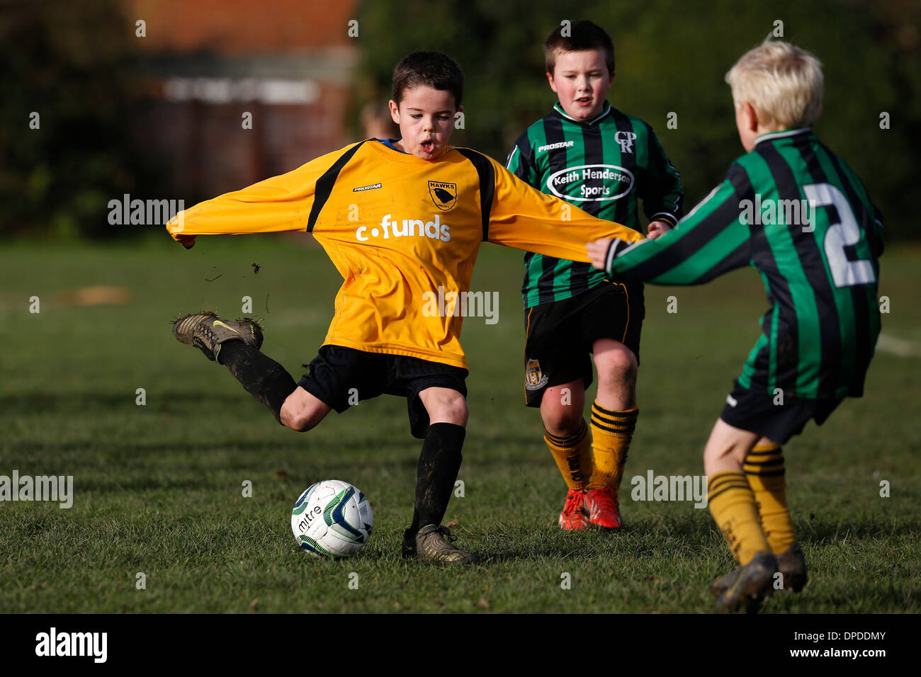 Hartley Wintney pèlerin équipe de football junior (jaune) jouer Curley Park Rangers dans un match de football de la jeunesse dans le Hampshire 14-12-13 Banque D'Images