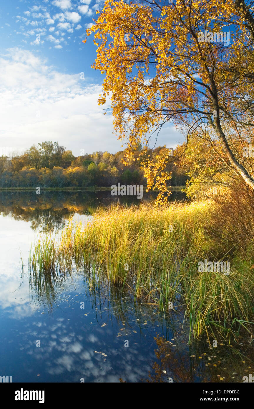 Loch Kinord - dans le Muir de Dinnet, réserve naturelle nationale, Deeside, Aberdeenshire, Scotland, UK. Banque D'Images