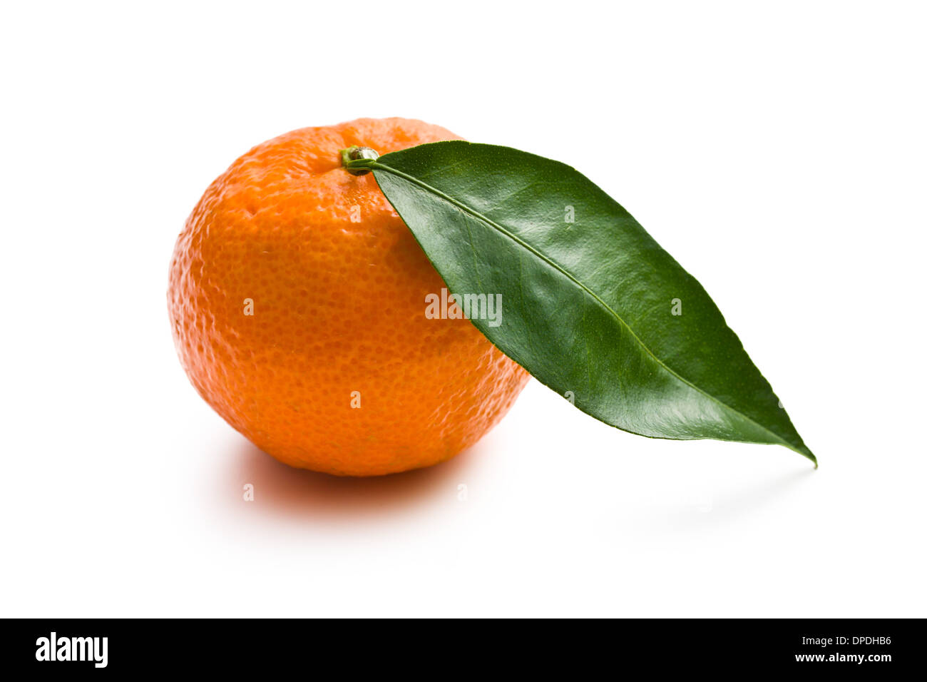 Mandarin fraîche sur fond blanc Banque D'Images