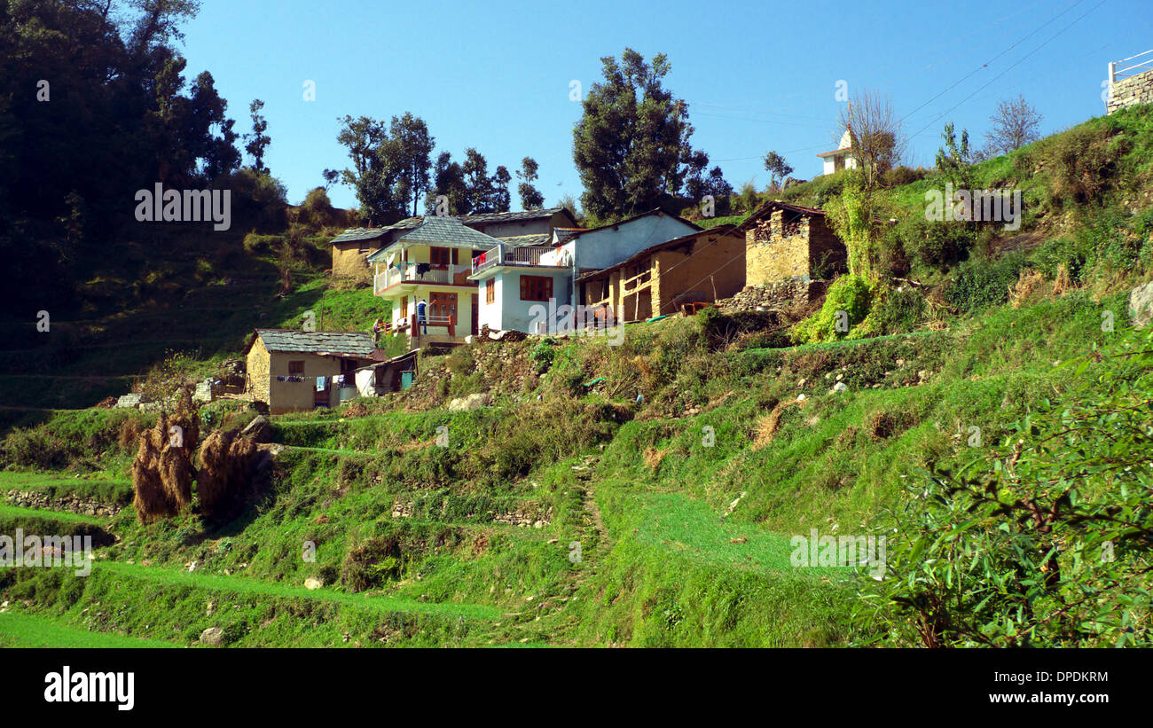Gallu/Sardunaki Konak, au-dessus de Mcleodganj, Dharamasala, Himachal Pradesh, Inde du Nord. Banque D'Images