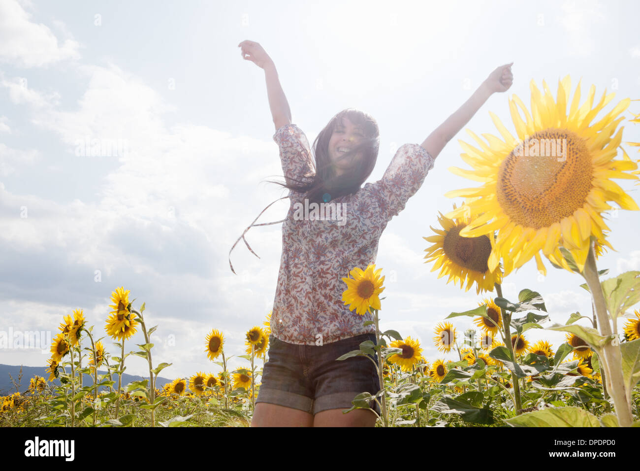 Mid adult woman in champ de tournesols Banque D'Images