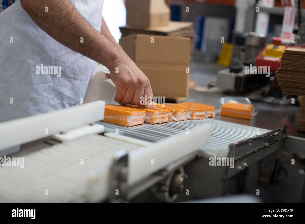 L'homme dans l'entrepôt d'emballage de fromage vegan Banque D'Images