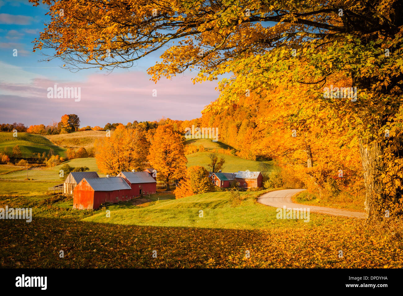 À l'aube d'automne Jenné ferme près de South Woodstock, Vermont, Etats-Unis Banque D'Images
