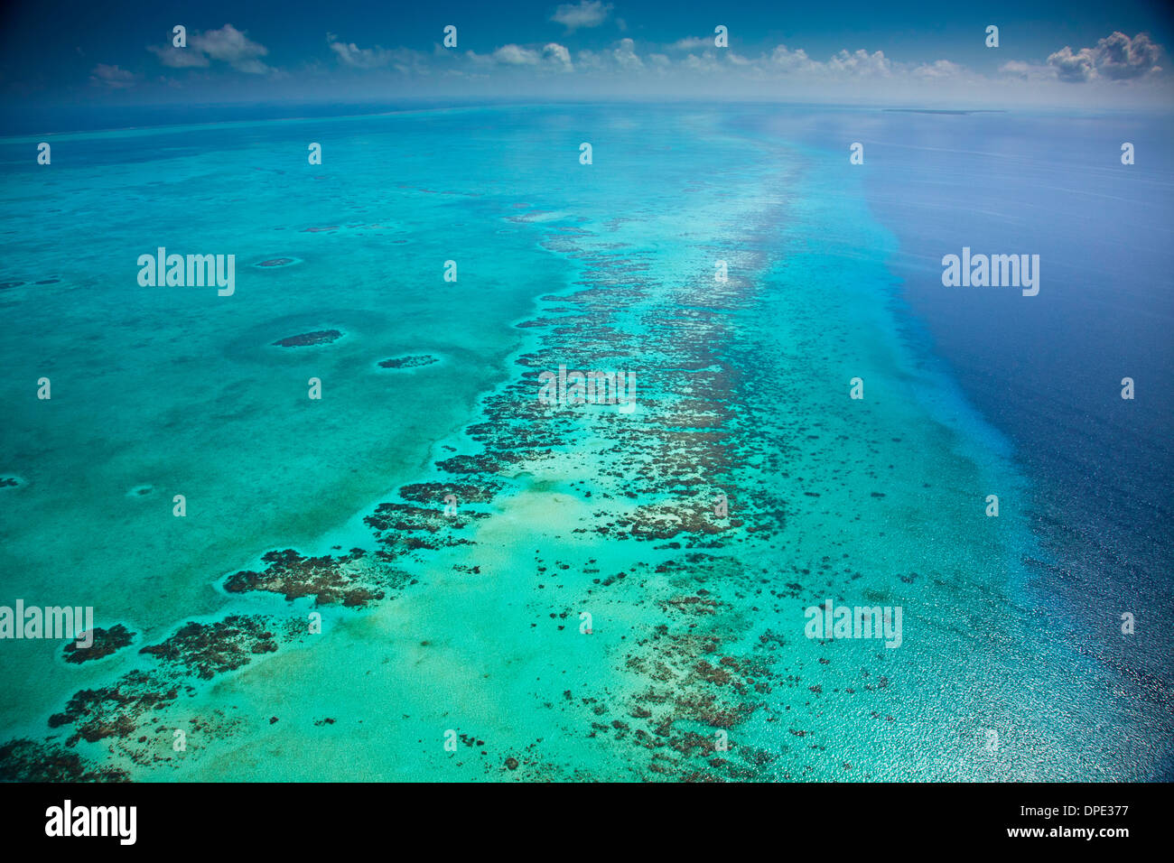 Détail du récif méso-américain de la mer des Caraïbes Belize Réserve Lighthouse Reef Atoll Reef Plus grand récif dans Hémisphère Ouest Vue aérienne Banque D'Images