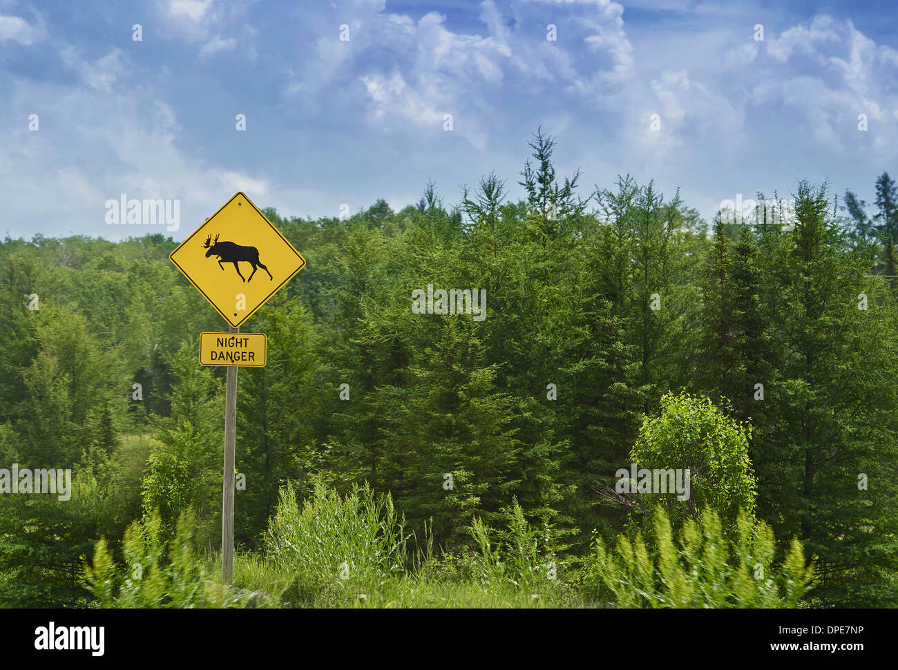 Moose Crossing Road Sign in Ontario, Canada. Moose Crossing - Nuit Danger. Canada Photo Collection. Banque D'Images