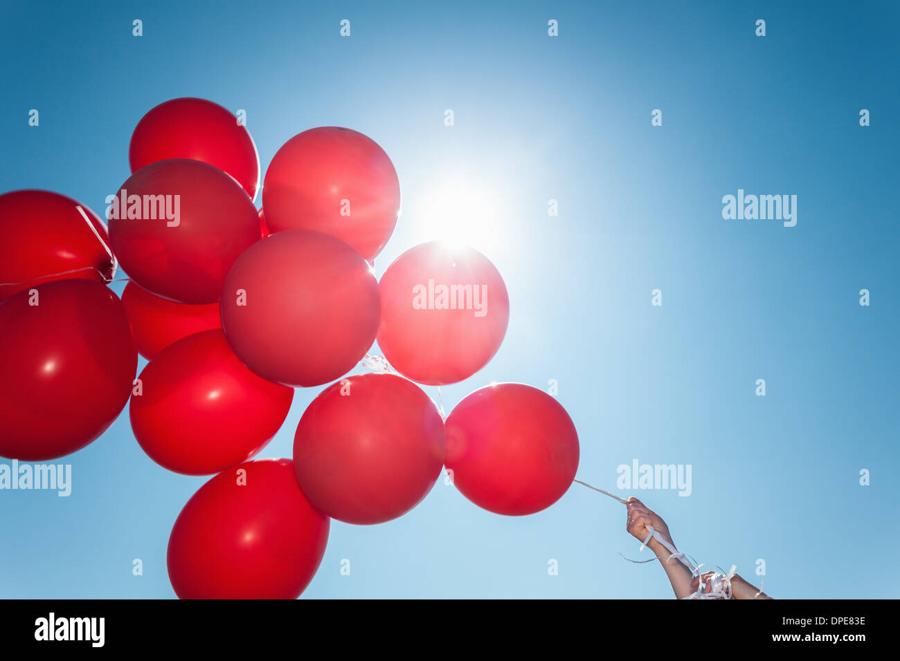Hands holding bunch of red balloons against blue sky Banque D'Images