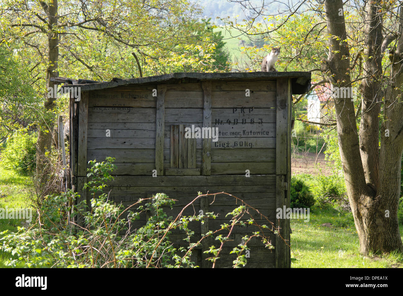 Vieux chalet dans un jardin Banque D'Images