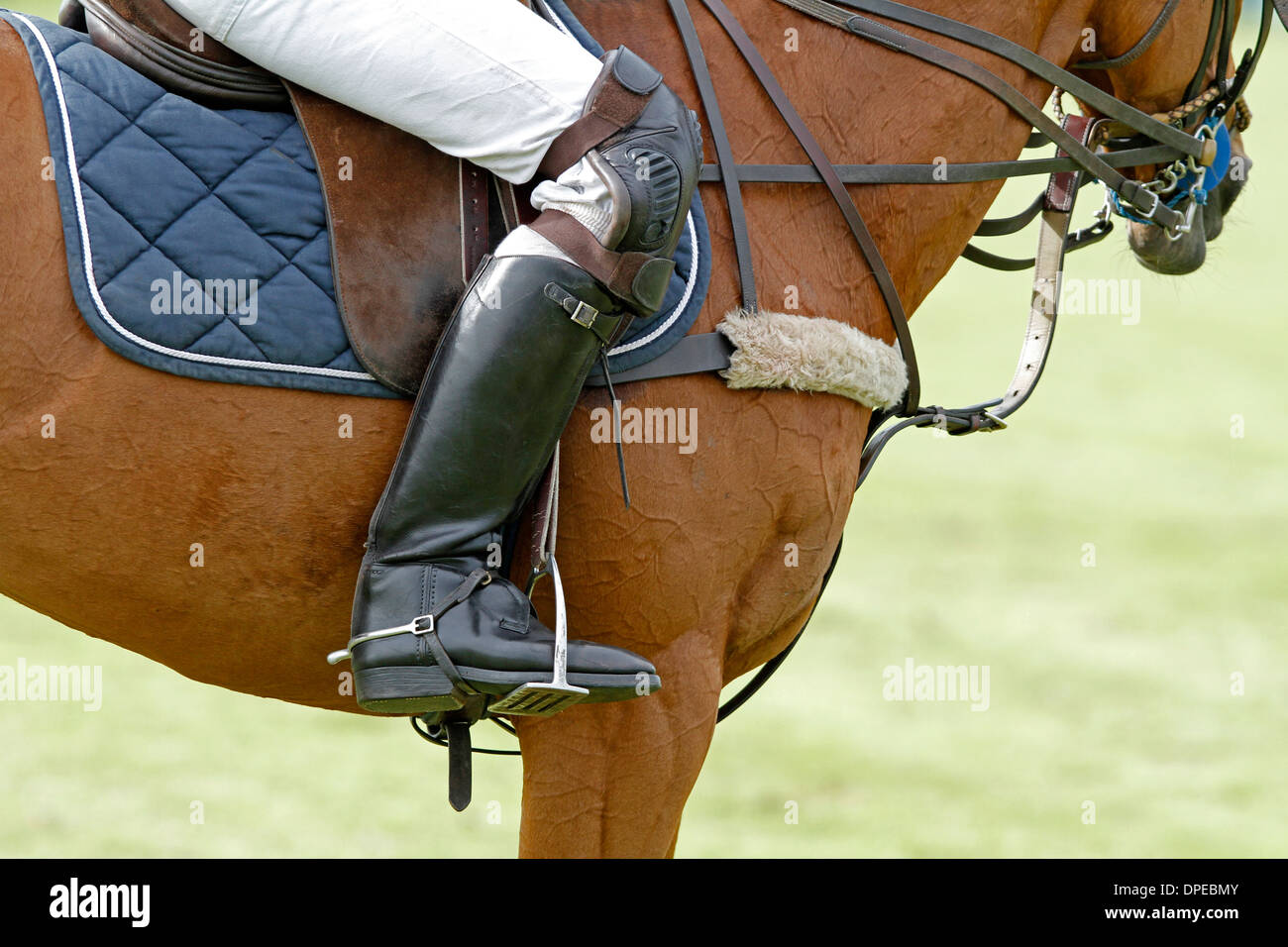 Un joueur assis sur un poney de polo Banque D'Images
